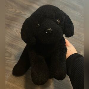 Black Stuffed Toy Dog